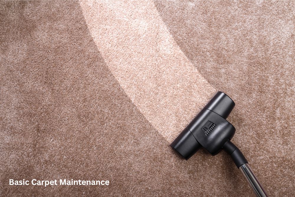 Carpet cleaning | Chacon Flooring