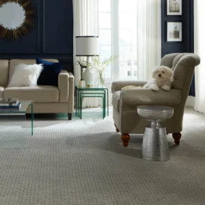 pet safe carpet | Chacon Flooring
